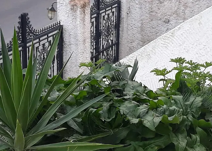 Xara House Apartmán Perama (Corfu)